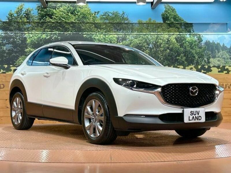 CX-30