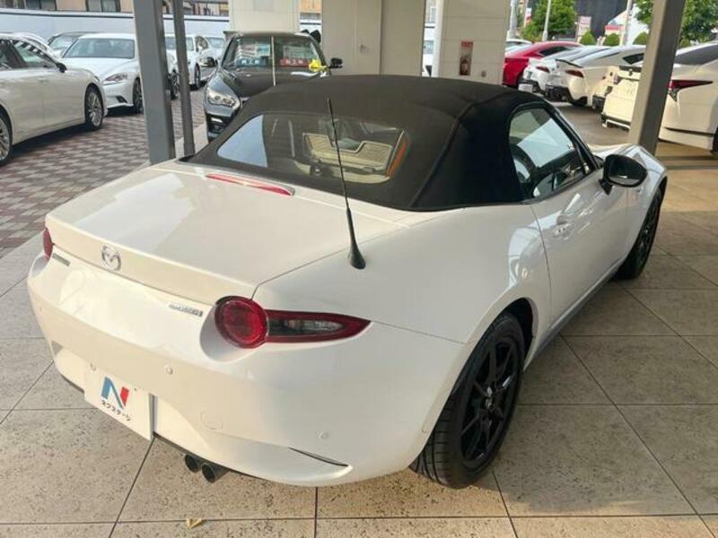 ROADSTER
