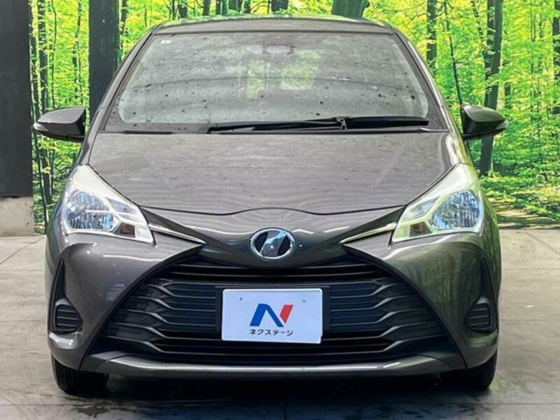 VITZ-13