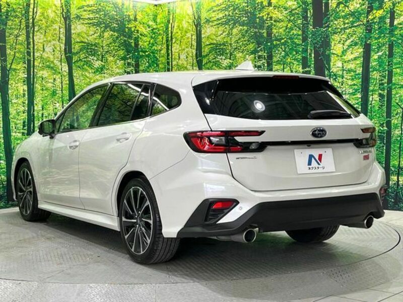 LEVORG