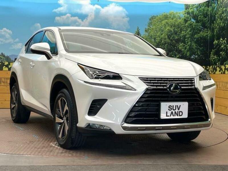NX