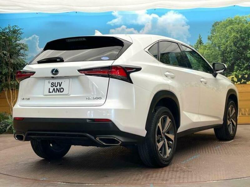 NX