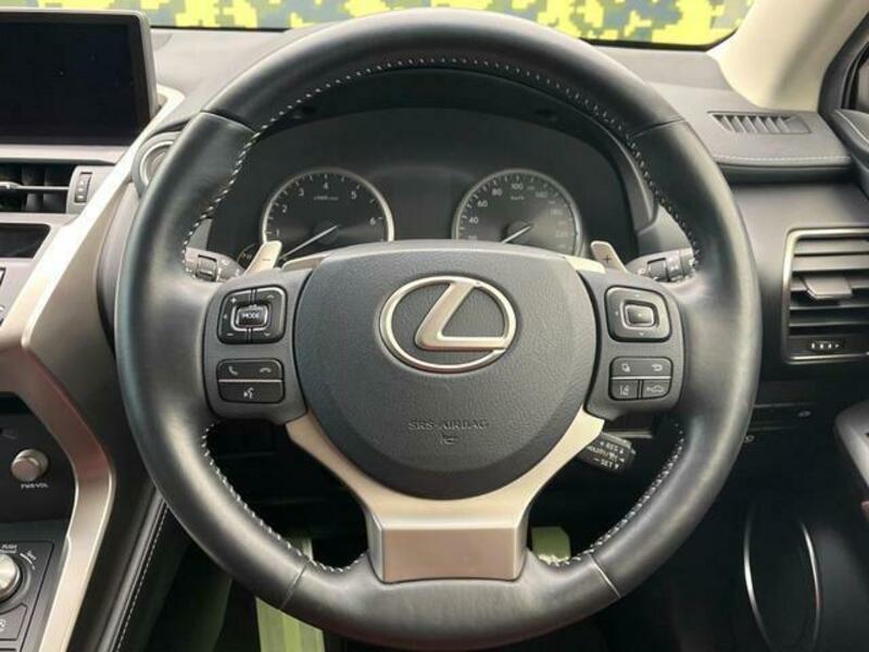 NX