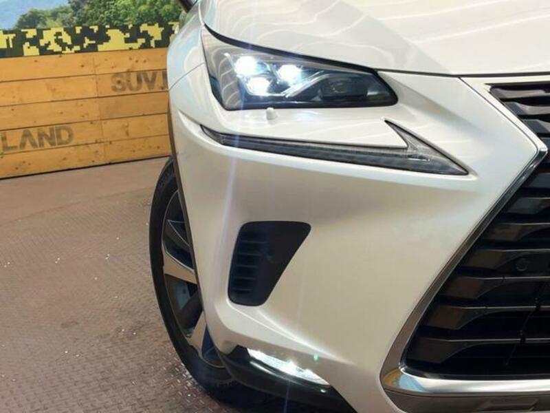 NX