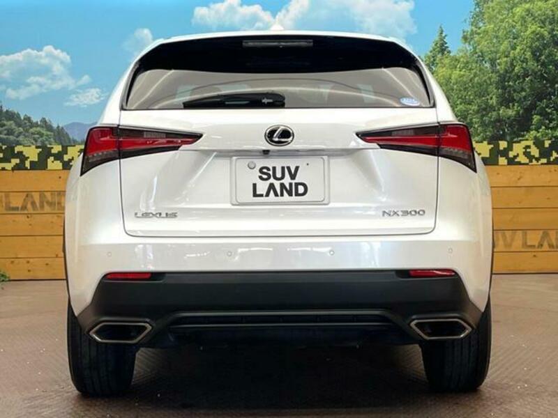 NX
