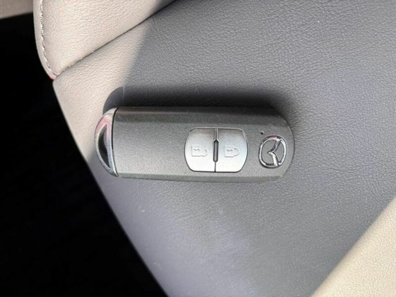 CX-3-13