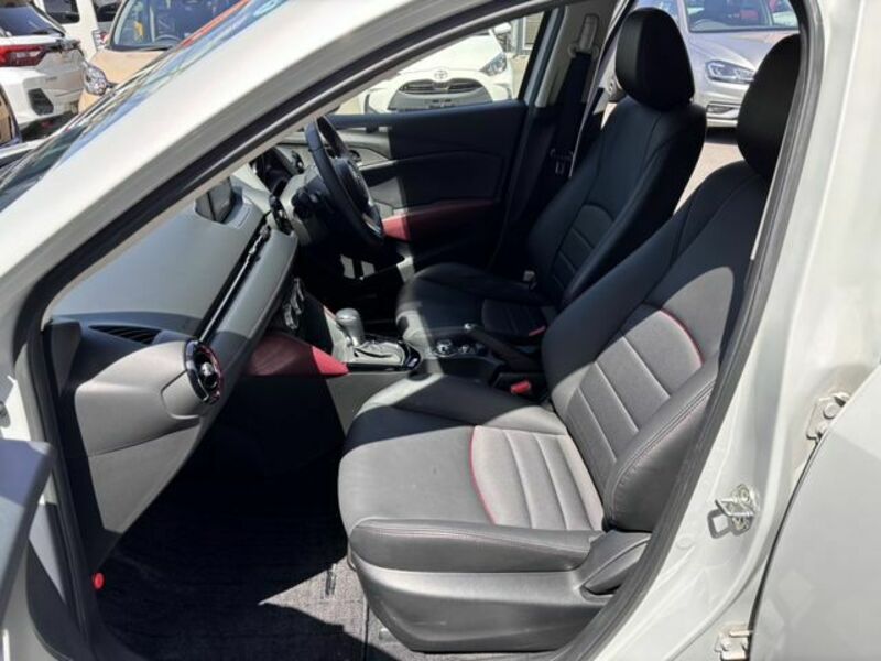 CX-3-19