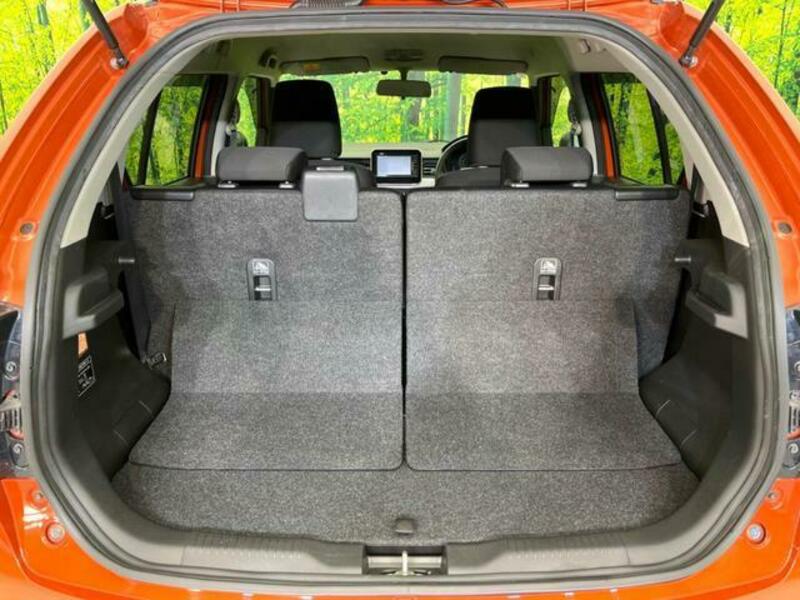 IGNIS-10