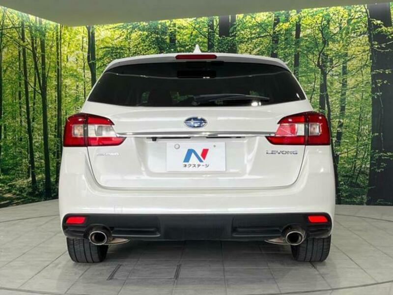 LEVORG-15