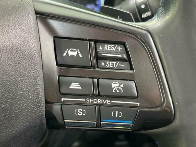 LEVORG-5