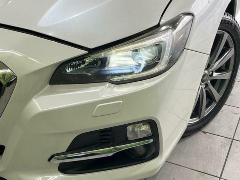 LEVORG-12