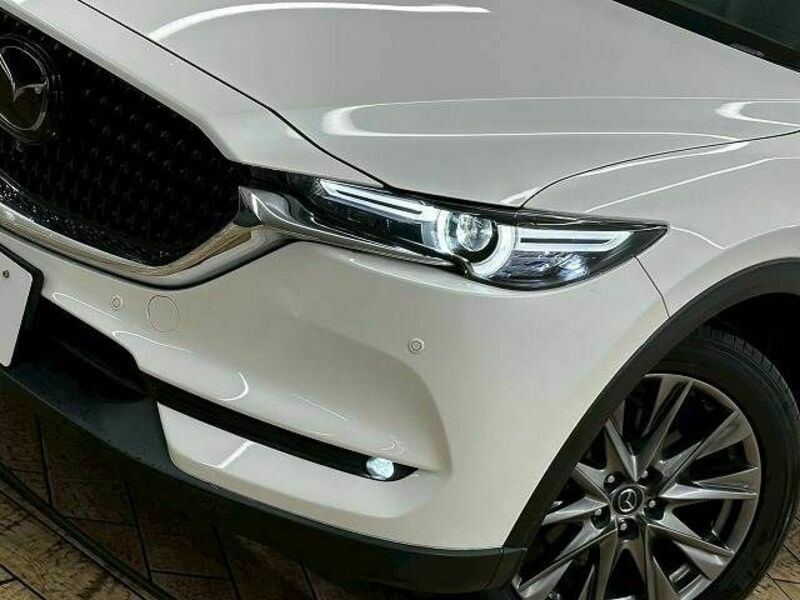CX-8