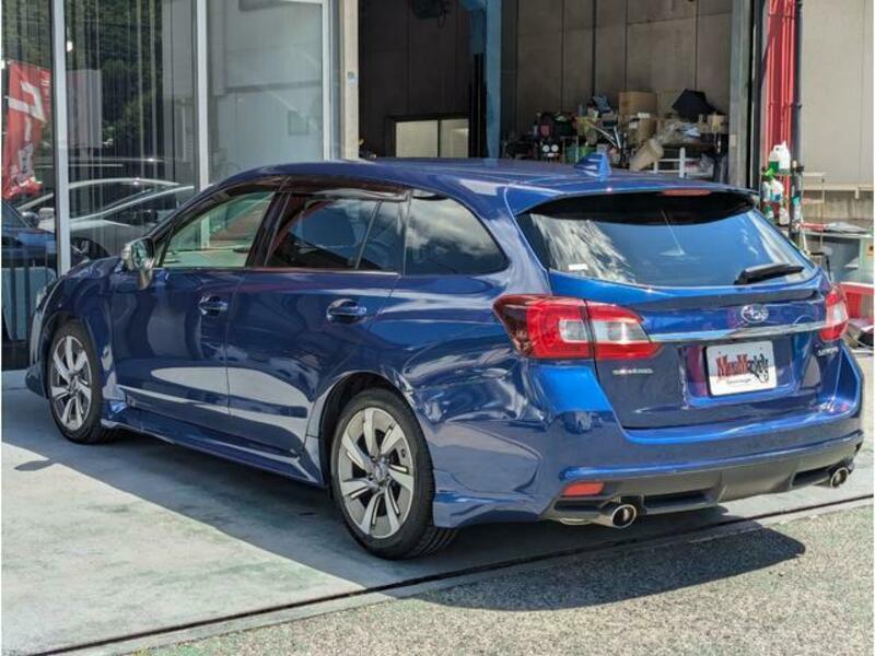 LEVORG