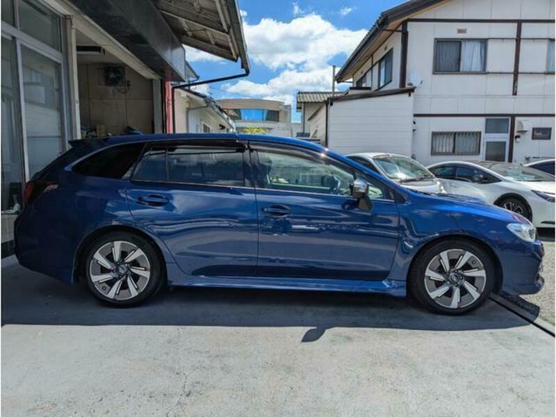 LEVORG