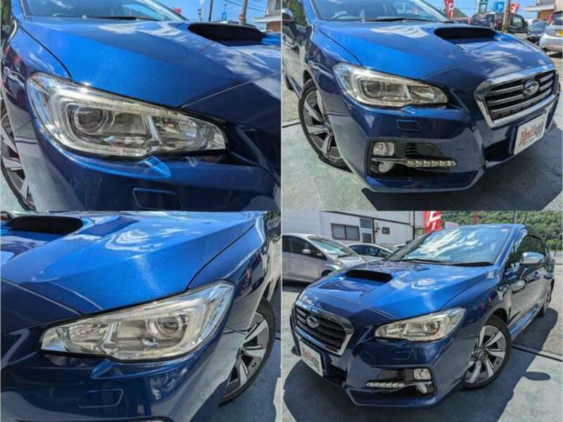 LEVORG