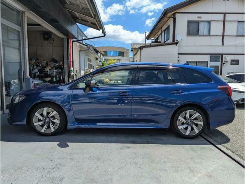 LEVORG