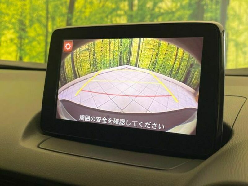 CX-3-3