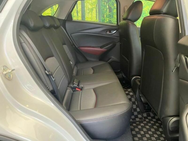 CX-3-8