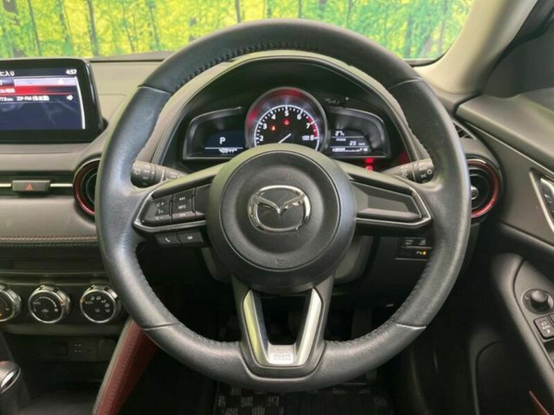 CX-3-10