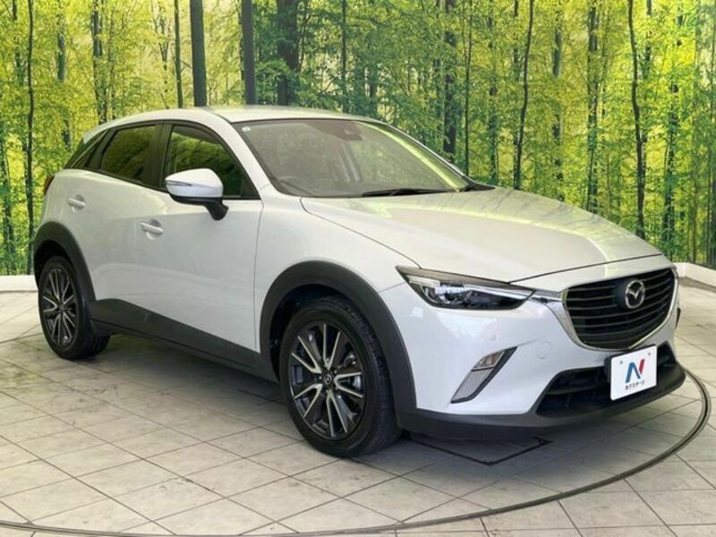 CX-3-15
