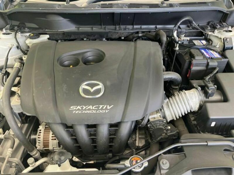CX-3-17