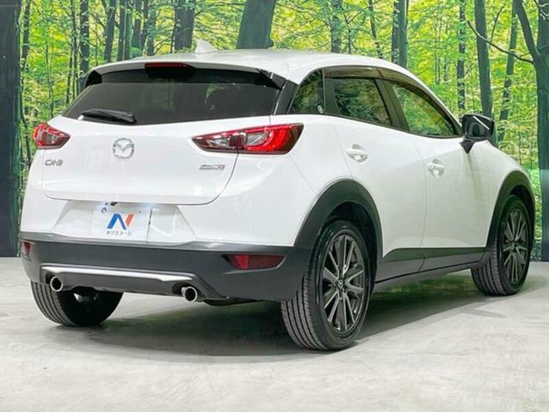 CX-3-17