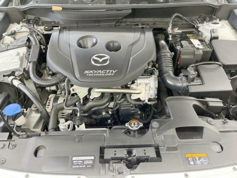 CX-3-18