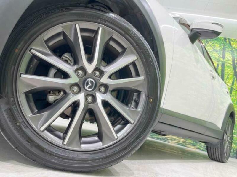 CX-3-13
