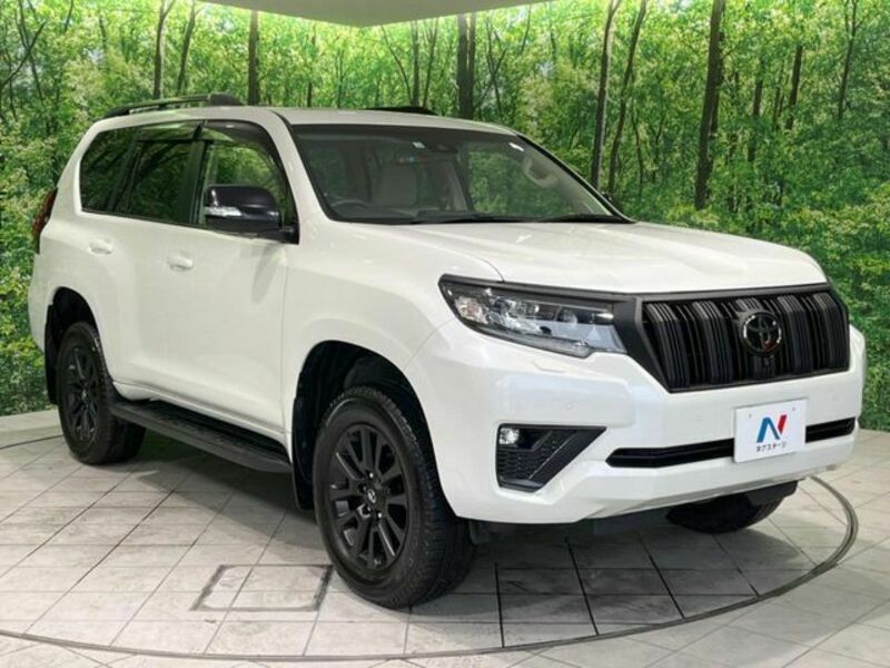 LAND CRUISER PRADO-18