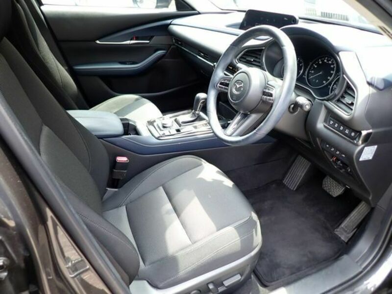 CX-30-1