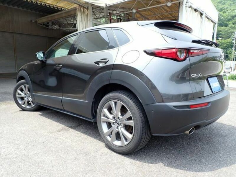 CX-30-2