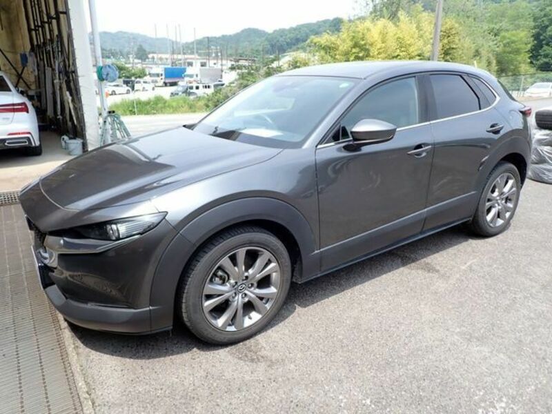 CX-30-6