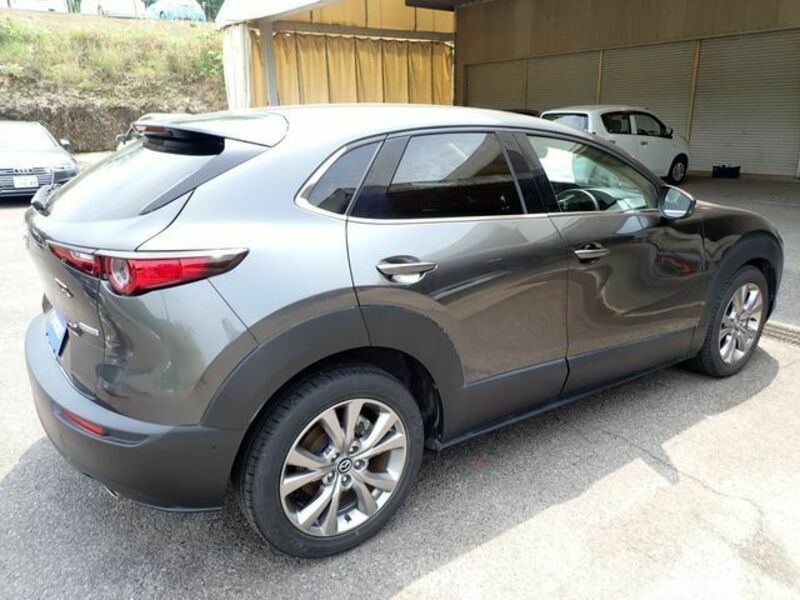 CX-30-7