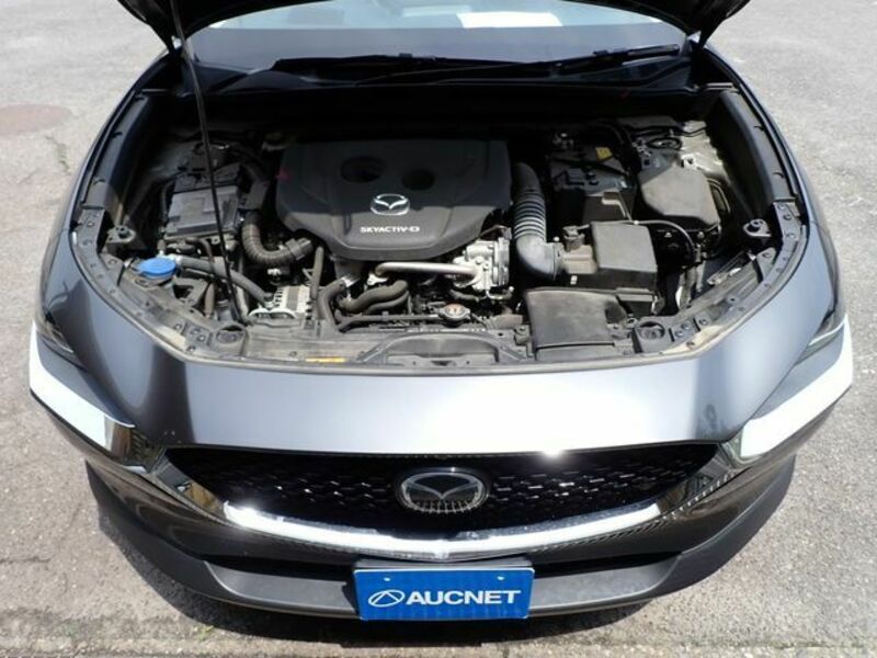 CX-30-25