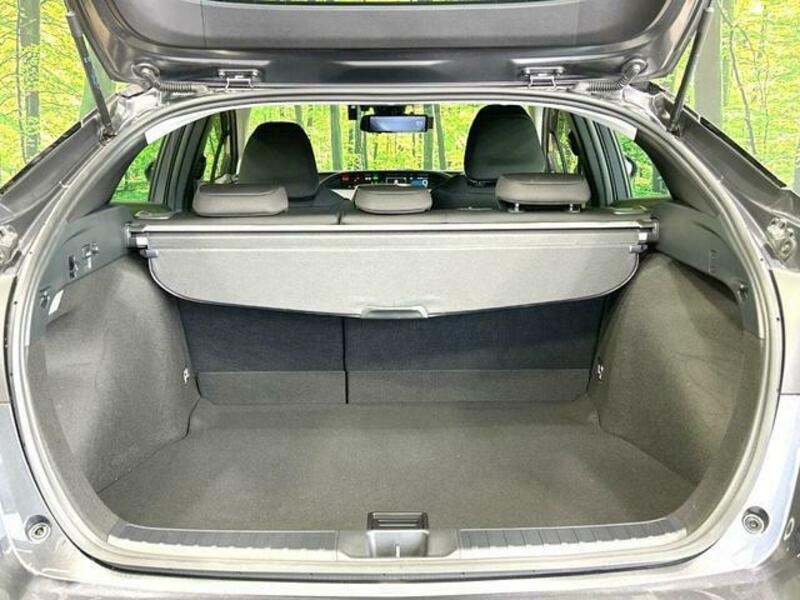 PRIUS-9