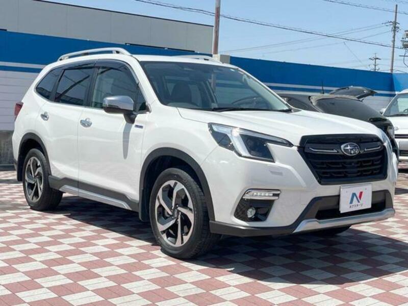 FORESTER
