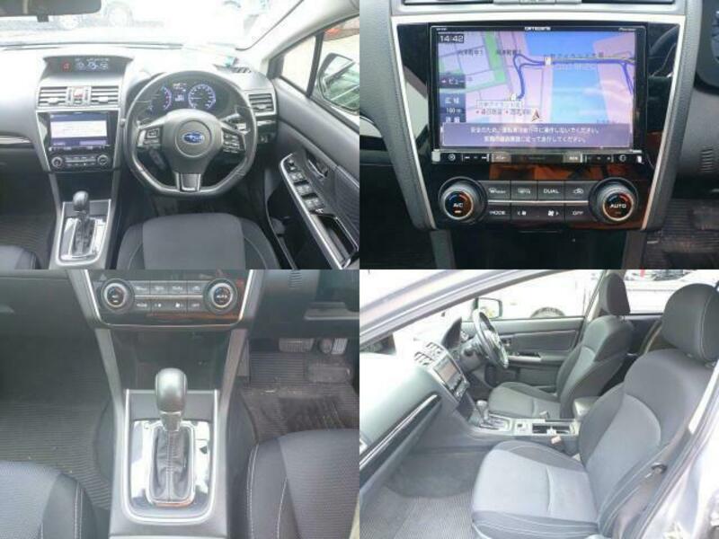 LEVORG-8