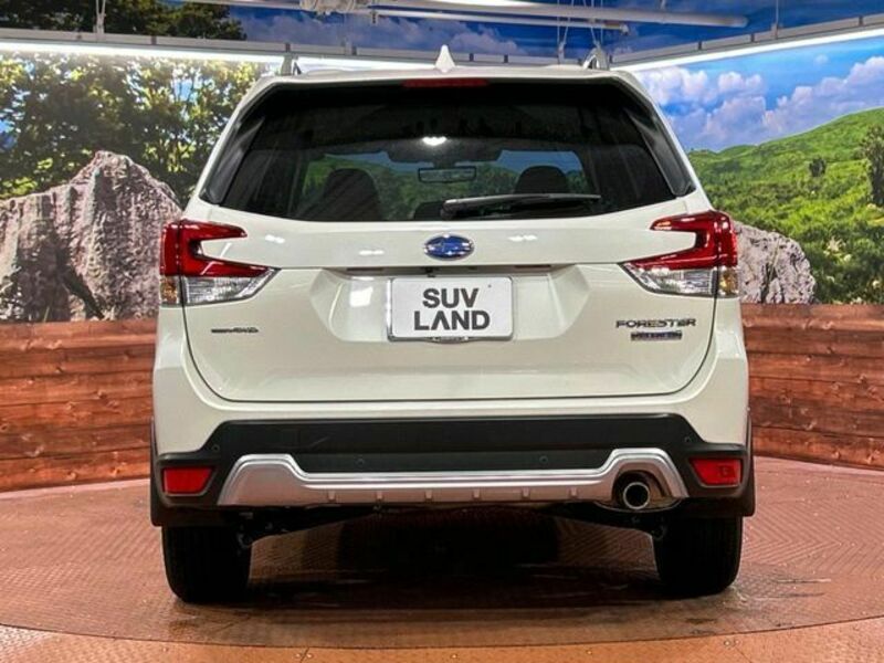 FORESTER