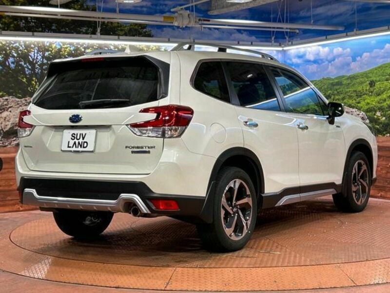 FORESTER