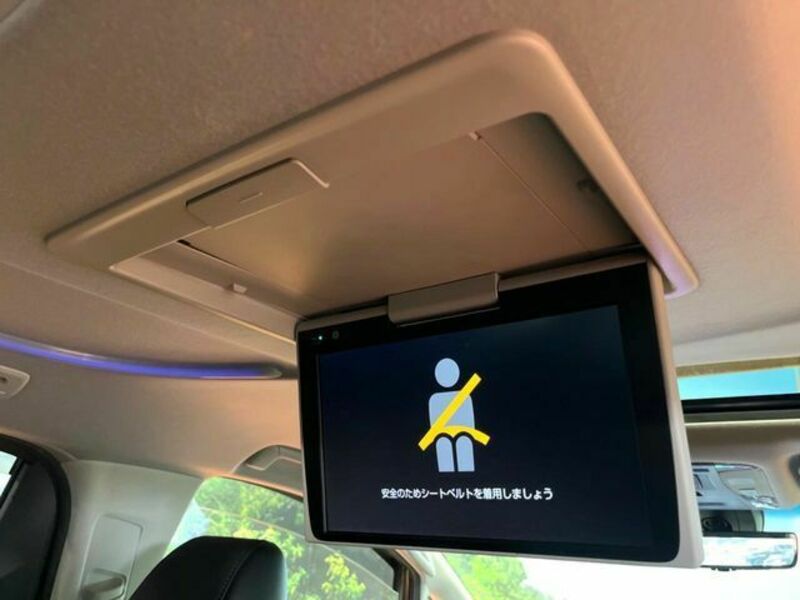 ALPHARD-3
