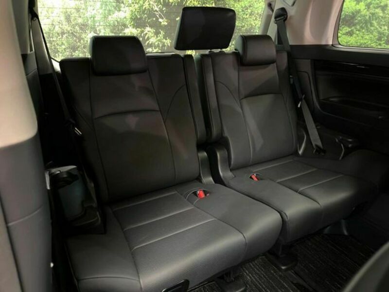 ALPHARD-12