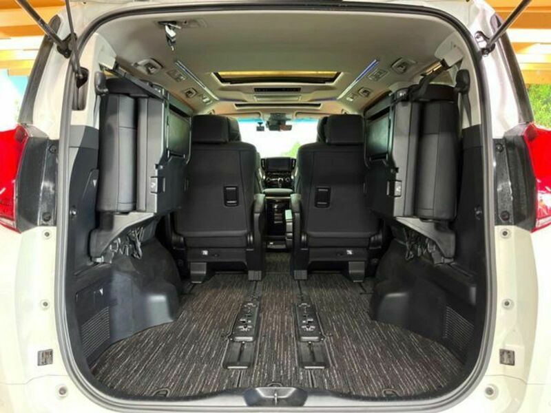 ALPHARD-13