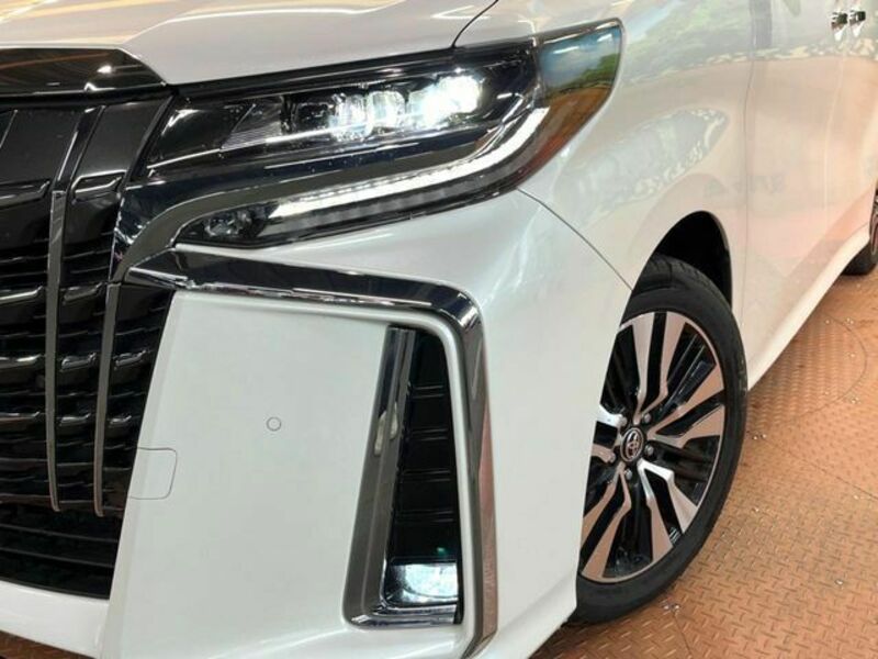 ALPHARD-14