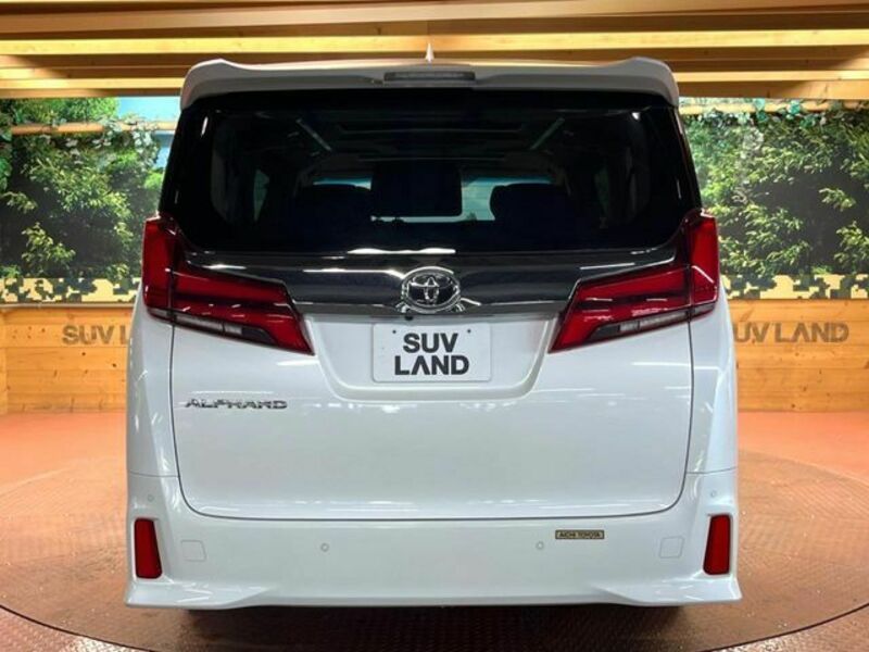 ALPHARD-17