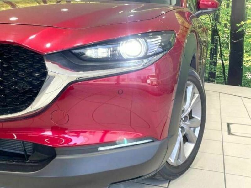 CX-30