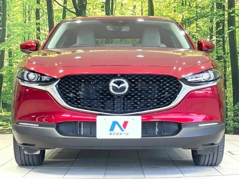 CX-30