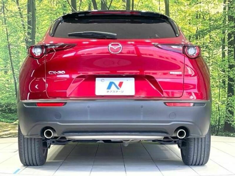 CX-30
