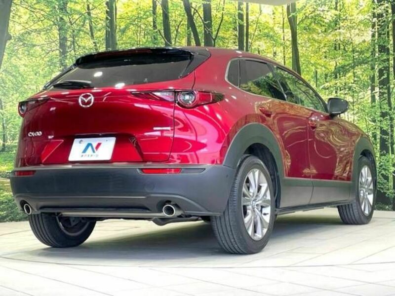 CX-30