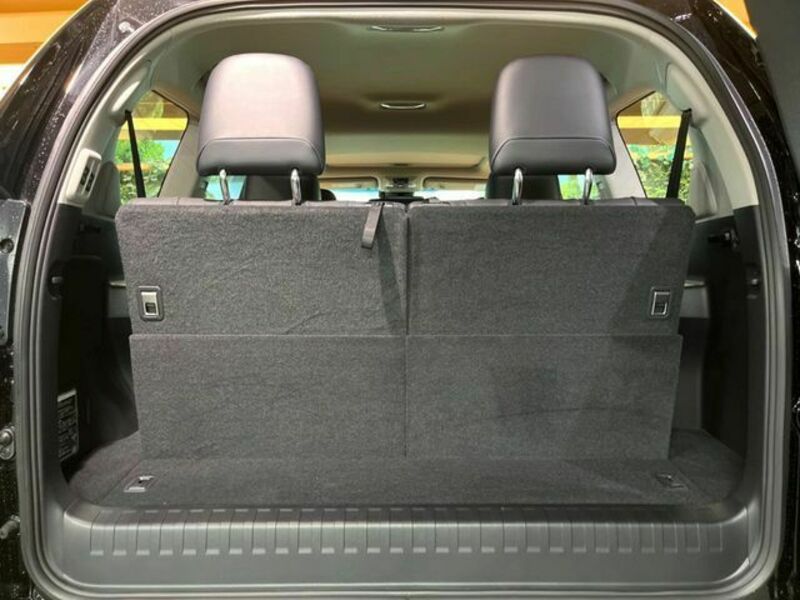 LAND CRUISER PRADO-10