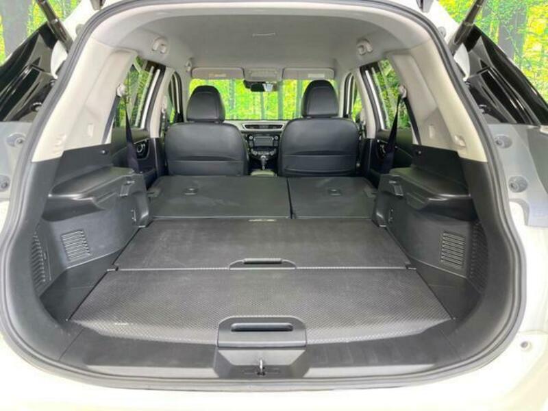 X-TRAIL-10